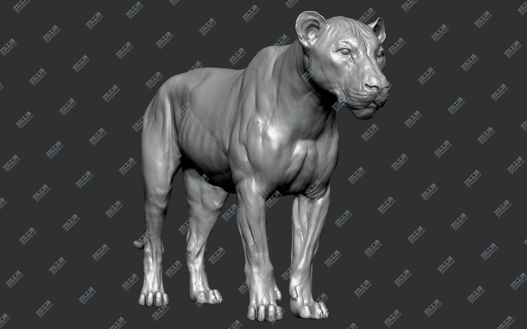 images/goods_img/2021040161/3D model Lion (Big Cat) VFX Zbrush Sculpt/4.jpg